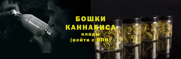 спайс Ладушкин