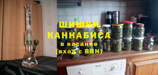 гидра Туринск