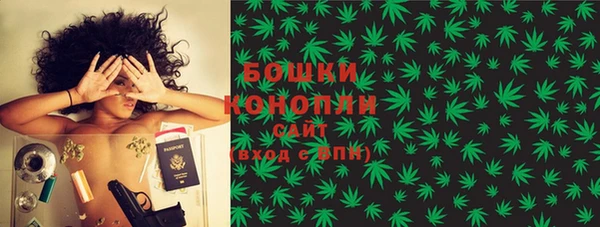 спайс Ладушкин