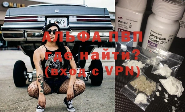 спайс Ладушкин