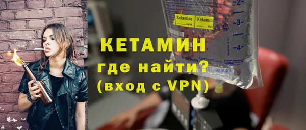 индика Няндома