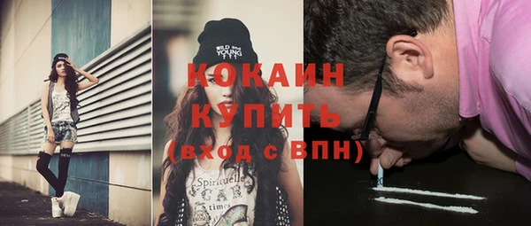 спайс Ладушкин