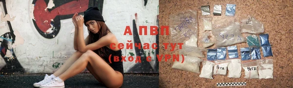 спайс Ладушкин
