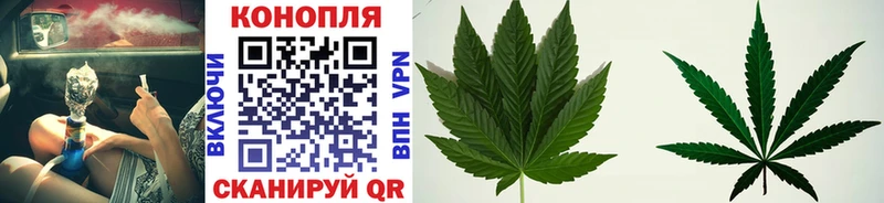 Конопля ГИДРОПОН  продажа наркотиков  Ахтырский 
